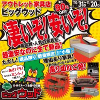 10月31日(土)～11月20日(金)は、凄いぞ！安いぞ！激安セール開催中！