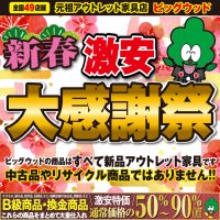 1月9日(土)～22日(金)は新春激安感謝祭！