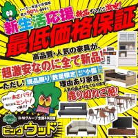 ビッグウッドのアウトレット家具・オフプライス家具は地域最安値の最低価格保証！ ベッドやマットレス、ソファー、ダイニングテーブルセット、食器棚、テレビボードなどなど、メーカー希望小売価格の最大９０％オフ！