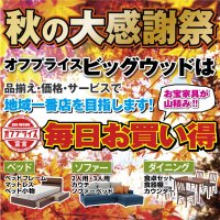 激安家具のビッグウッド「秋の大感謝祭」