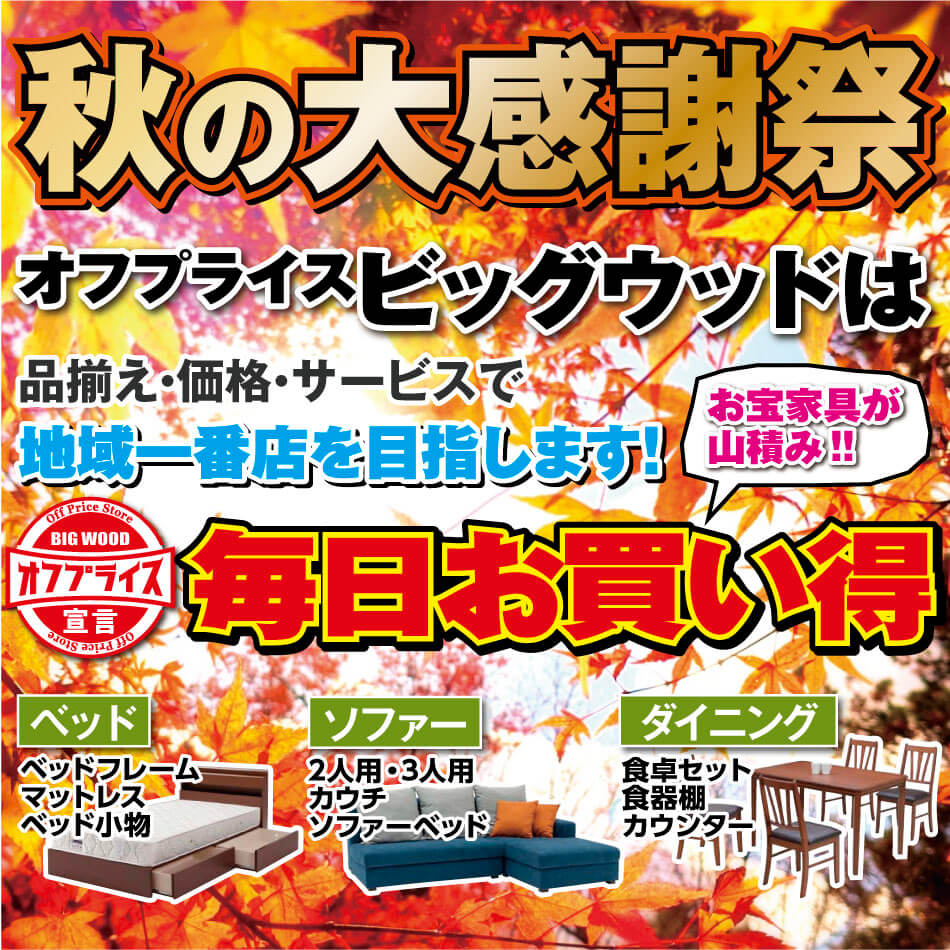 激安家具のビッグウッド「秋の大感謝祭」
