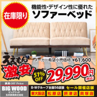 機能性・デザイン性に優れたソファーベッドが激安！