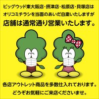 ビッグウッド東大阪店・摂津店・松原店・貝塚店は、オリコミチラシを当面のあいだ自粛しますが、店舗は通常通り営業いたします。