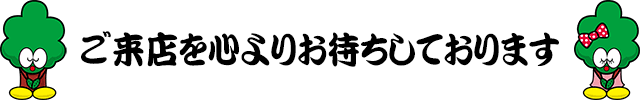 ビッグウッド玉井家具　松原店